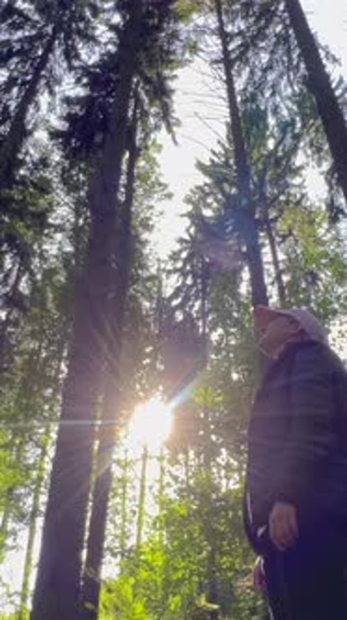 A Woman Walks in a Summer Forest with Tall Trees Camera Rotation Slow Motion Vertical Video