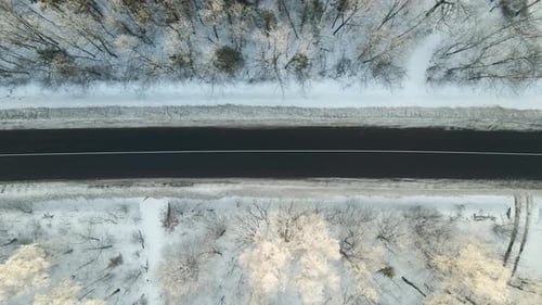 Aerial View of Winter Landscape with Snow Covered Woods and Black Asphalt Forest Road on Cold Wintry