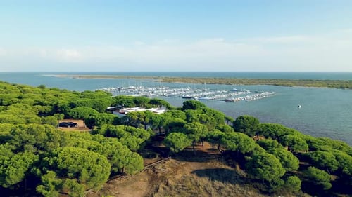 Beautiful Piedras Riverbank and Docks with Many Yachts, Sailboats, Ships Moored in Puerto Marina El