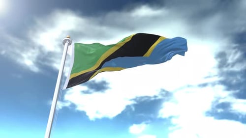 Tanzania Flag Loop 4K
