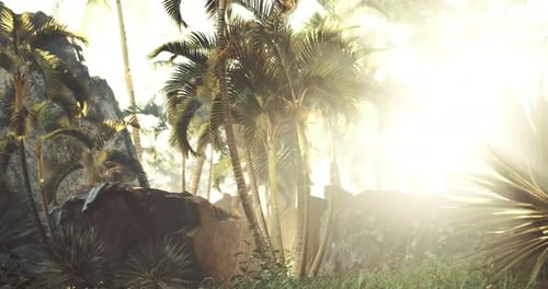 Lush Tropical Nature Scene with Sunlight and Palm Trees