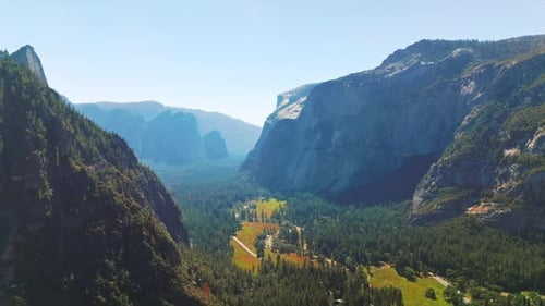 Pine tree woods growing on the mountains and valley. Sunlit panorama of amazing rocks at Yosemite