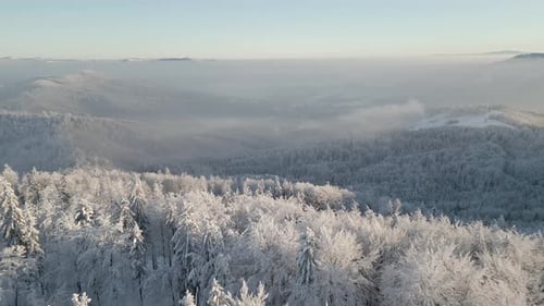 Aerial View of the Winter Landscape of a Foggy Mountain Forest
