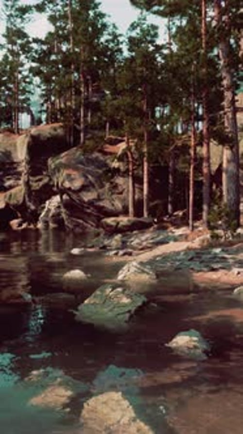 River Flowing Through Dense Forest