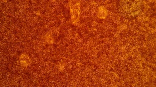 Abstract Flowing Orange and Yellow Particles Motion Background