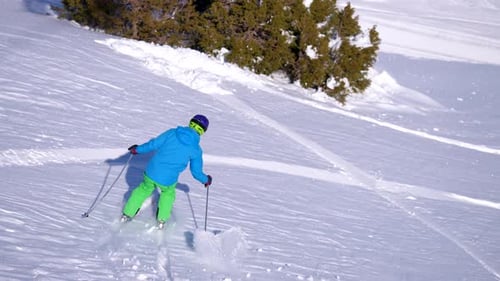 Slow Motion Skier