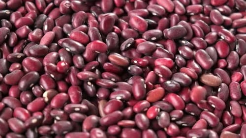 Red Kidney Beans Falling in Pile, Close Up