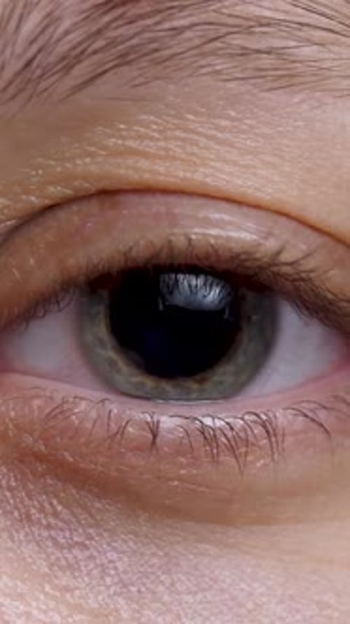 Woman's Grey Eyes with Black Pupil and Iris