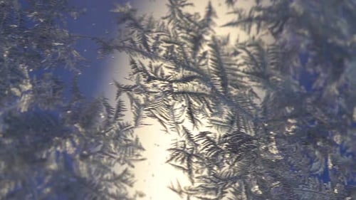 Backlit ice flowers on a window. Macro, fast slide from left to right.