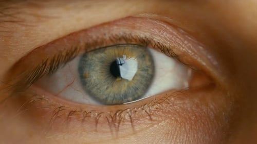 Close-up of a Blinking Man's Eyes. It's Grey with Brown Dots. Dilating Iris. Shot in Warm colours.