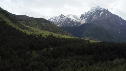 Aerial View of Forested Hills with Snow Capped Mountains in Background