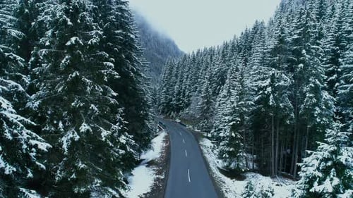 Drone Fly Over Winter Snowy Asphalt Road in Forest