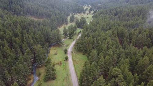 Perfect Forest Road River em detalhes