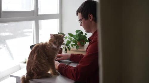 Man Working at Desk with Cat Companion