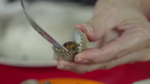 Gros plan, mains avec fourchette, sortant des palourdes des fruits de mer en coquille, plat indonésien