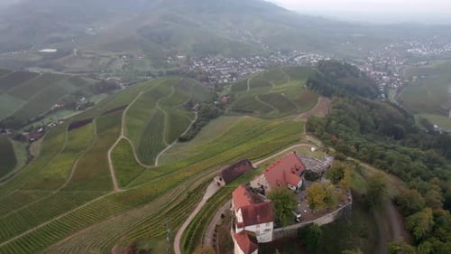 Castle surrounded by vineyards, Schloss Staufenberg, Durbach
