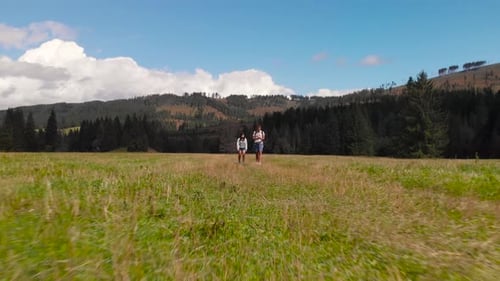 Aerial backwards tilt up reveal of couple walking through beautiful meadow in forest area on bright