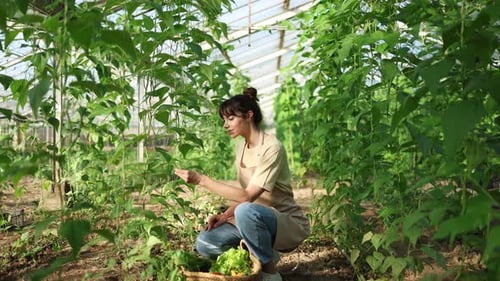 Cheerful Woman Farming Plants in Greenhouse