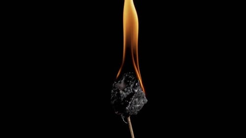 Burning Ember on a Stick Against Black Background