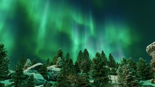 Winterwald und Nordlichter