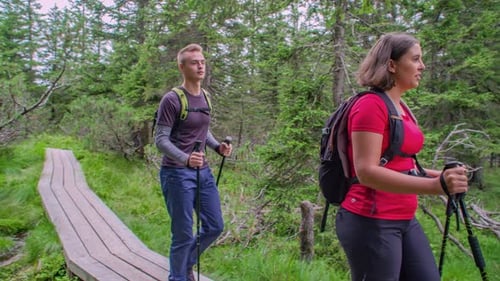 Couple amid the forest trail practising hiking.