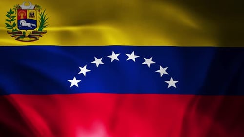 Realistic Waving Flag of Venezuela Loopable Background Animation