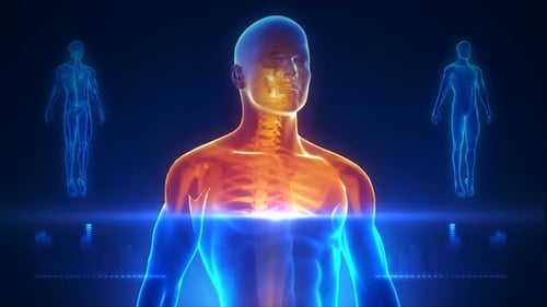 Futuristic 3D Human Body Scan Medical Animation