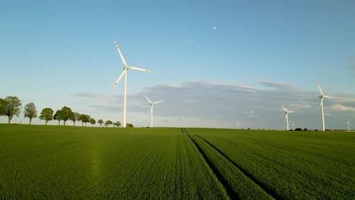 Blick auf ein grünes Ackerfeld mit Windturbine, blauem Himmel und Baumgrenze am Horizont
