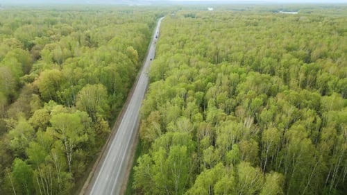 Aerial View of a Forest Road