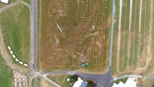 Aerial View from Above of a Large Corn Maze with a Down Angle Moving across in Autumn as Seen by a D