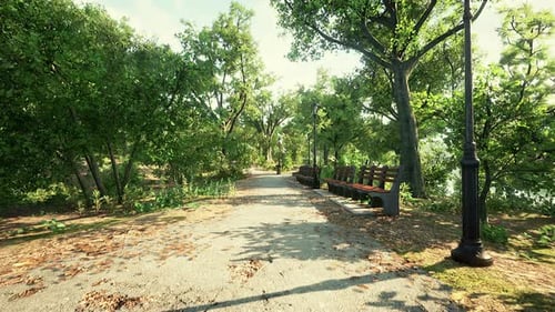 Green Alley with Trees in the Park