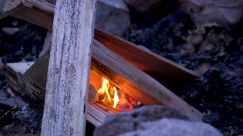 Slow pan of a small campfire burning.