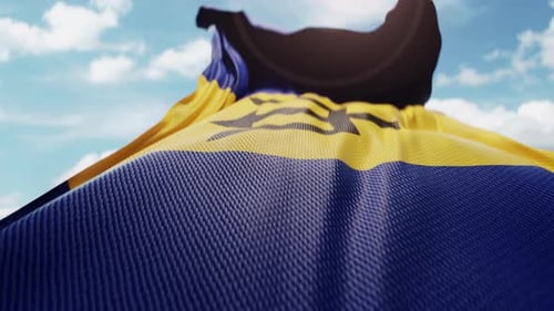 Wavy Flag of Barbados Blowing in the Wind in Slow Motion Waving Colorful Barbadian Flag Symbol