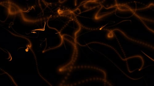 Abstract Flowing Orange Glowing Lines Loop Background