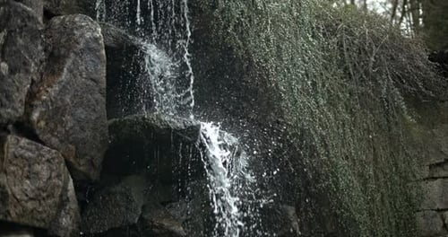 a Small Mountain Stream or Waterfall of Crystal Clear Cool Spring Fresh Water Flows Among Stones and