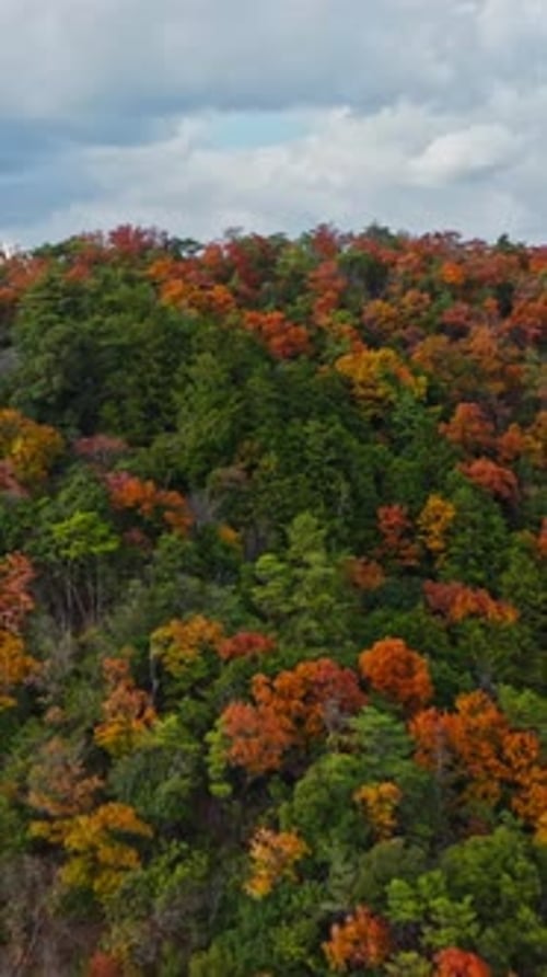 Vertical Aerial Closeup to Autumnal Colorful Mount Hiel in Kyoto Japan, Forested Mountain Landscape
