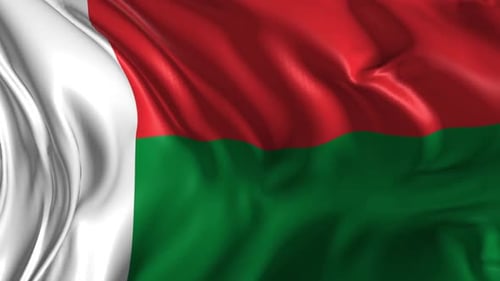 Realistic Madagascar Flag Waving Seamless Loop Animation