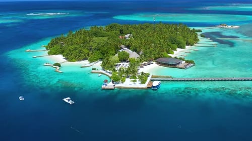 Tropical Island with Watrer Villas and Coconut Palm Trees Blue Lagoon White Sandy Beach at Bora Bora