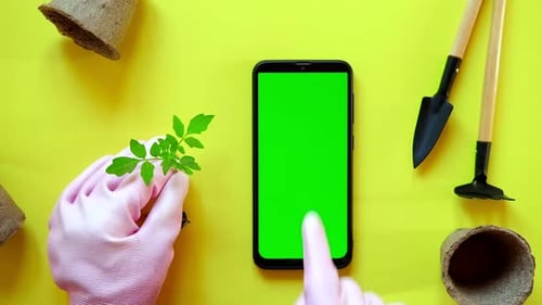 Smartphone with Blank Green Screen Against Plant Pot Gardening Tools Hand Touching Clicking Tapping