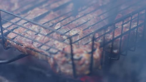 Grilled Pork on a Garden Barbecue. Tilt up, rack focus, Real time shot.