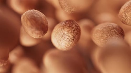 Animation einer Gruppe von Kokosnüssen. Defokus. Nahaufnahme
.