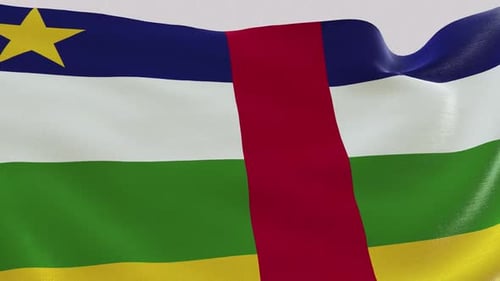 C A R Fabric Flag