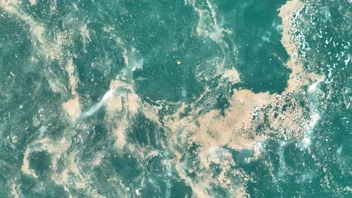 Esta perspectiva de un Zumbido revela agua contaminada con basura.