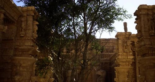 Ruines d'anciens temples entourées d'une végétation luxuriante au soleil de l'après-midi