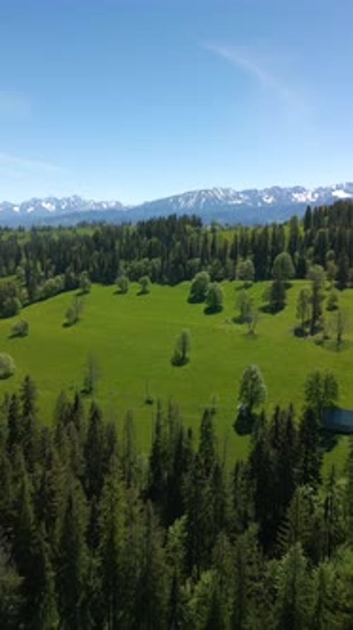 Stunning Landscape of Green Pastures and Tatra Mountains in Summer Poland