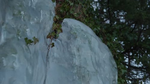 Close up of ice melting as warmer times comes and some leaves comes out of the ice
