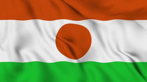 Waving Fabric Flag of Niger with Realistic Texture