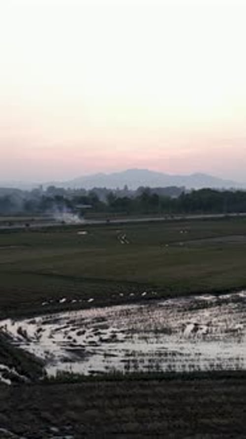 Motocyclettes conduisant sur la route à travers les champs de culture au crépuscule au Vietnam