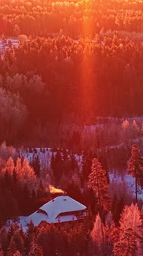 Warm golden sunset glow over snowy winter forest