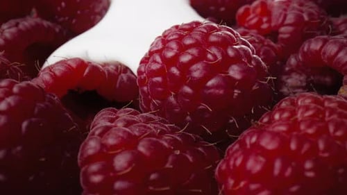 Cream Poured Onto Fresh Red Raspberries Macro Shot
